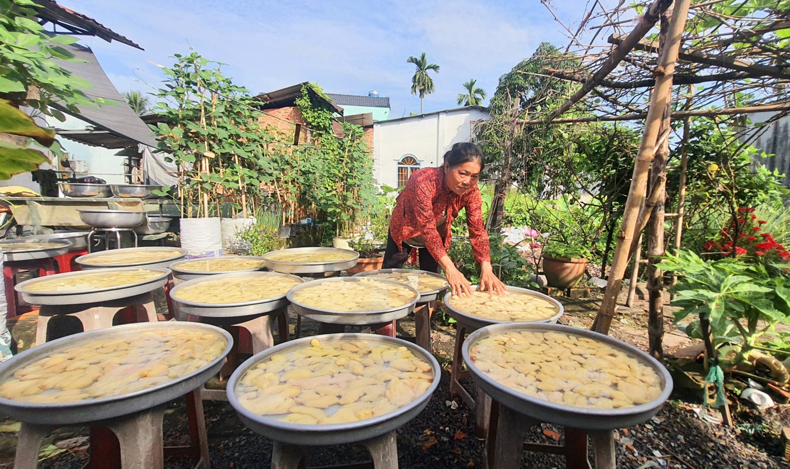 Mứt gừng Bình Nhâm